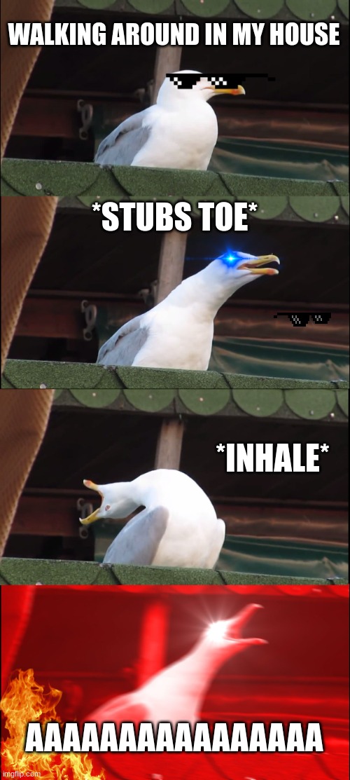 Inhaling Seagull Meme | WALKING AROUND IN MY HOUSE; *STUBS TOE*; *INHALE*; AAAAAAAAAAAAAAAA | image tagged in memes,inhaling seagull | made w/ Imgflip meme maker