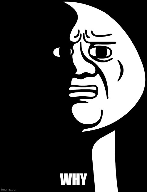 Oh god why.  | WHY | image tagged in oh god why | made w/ Imgflip meme maker