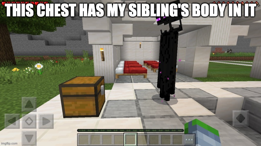 enderman screaming at chest | THIS CHEST HAS MY SIBLING'S BODY IN IT | image tagged in enderman screaming at chest | made w/ Imgflip meme maker