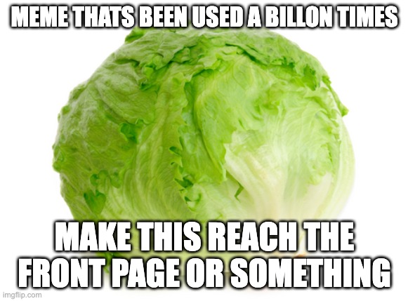 botttom text = bs | MEME THATS BEEN USED A BILLON TIMES; MAKE THIS REACH THE FRONT PAGE OR SOMETHING | image tagged in lettuce,bottom text | made w/ Imgflip meme maker