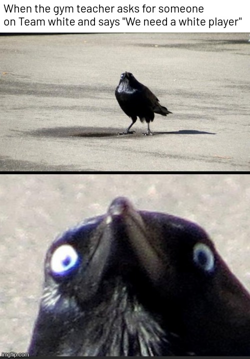 Insanity Crow | When the gym teacher asks for someone on Team white and says "We need a white player" | image tagged in dark humor | made w/ Imgflip meme maker