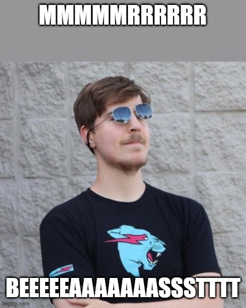 bro | MMMMMRRRRRR; BEEEEEAAAAAAASSSTTTT | image tagged in mr beast | made w/ Imgflip meme maker