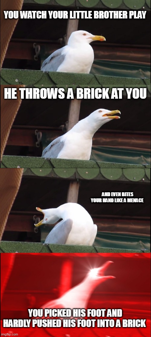 The Story of The Menacing Baby Who Regretted It | YOU WATCH YOUR LITTLE BROTHER PLAY; HE THROWS A BRICK AT YOU; AND EVEN BITES YOUR HAND LIKE A MENACE; YOU PICKED HIS FOOT AND HARDLY PUSHED HIS FOOT INTO A BRICK | image tagged in memes,inhaling seagull | made w/ Imgflip meme maker