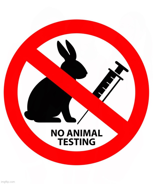 NO ANIMAL TESTING | NO ANIMAL TESTING | image tagged in no animal testing,animals,testing,protect animals,warning,stop animal testing | made w/ Imgflip meme maker