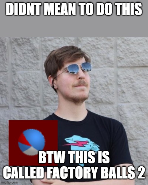 happy accident | DIDNT MEAN TO DO THIS; BTW THIS IS CALLED FACTORY BALLS 2 | image tagged in mr beast | made w/ Imgflip meme maker