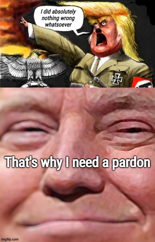 i beg your pardon... | image tagged in i beg your pardon,pardon,worse than hitler,trump russia collusion,traitor,lock him up | made w/ Imgflip meme maker