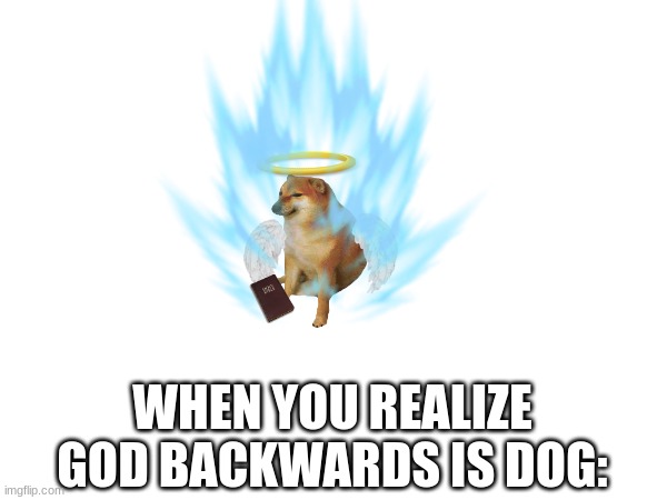 i just found this out and went to make a meme | WHEN YOU REALIZE GOD BACKWARDS IS DOG: | image tagged in dog,dogs | made w/ Imgflip meme maker