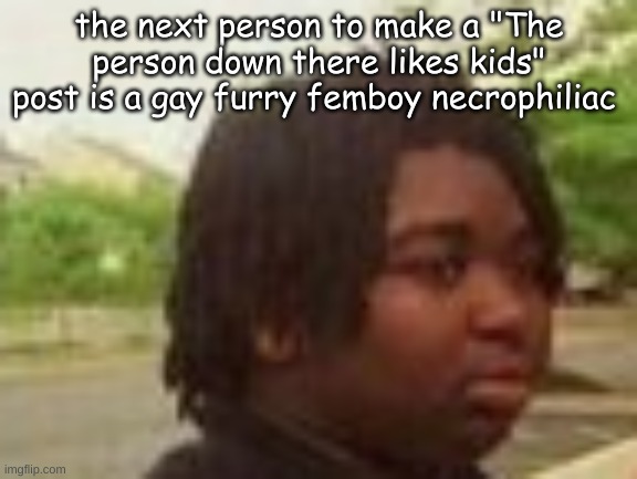 the next person to make a "The person down there likes kids" post is a gay furry femboy necrophiliac | made w/ Imgflip meme maker