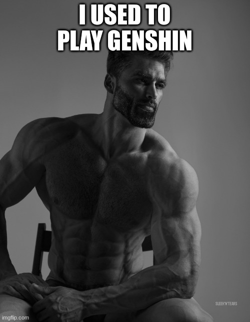 Giga Chad | I USED TO PLAY GENSHIN | image tagged in giga chad | made w/ Imgflip meme maker