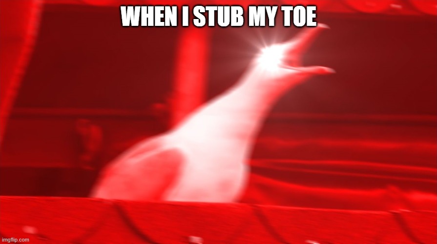 when stub toe | WHEN I STUB MY TOE | image tagged in angry seagull | made w/ Imgflip meme maker