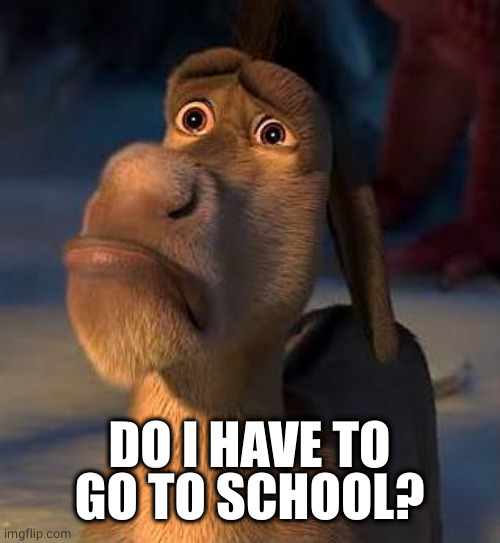 sad donkey | DO I HAVE TO GO TO SCHOOL? | image tagged in sad donkey | made w/ Imgflip meme maker