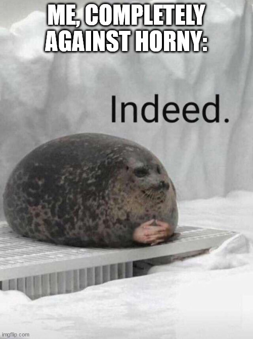 Seal boi indeed | ME, COMPLETELY AGAINST HORNY: | image tagged in seal boi indeed | made w/ Imgflip meme maker