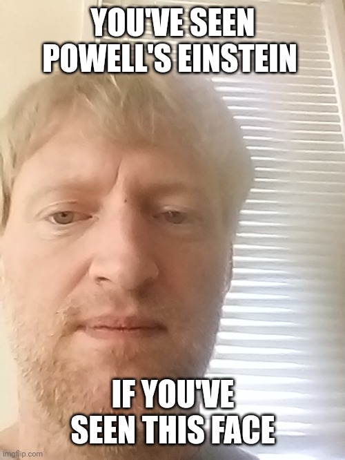 Face Reveal | YOU'VE SEEN POWELL'S EINSTEIN; IF YOU'VE SEEN THIS FACE | image tagged in face | made w/ Imgflip meme maker