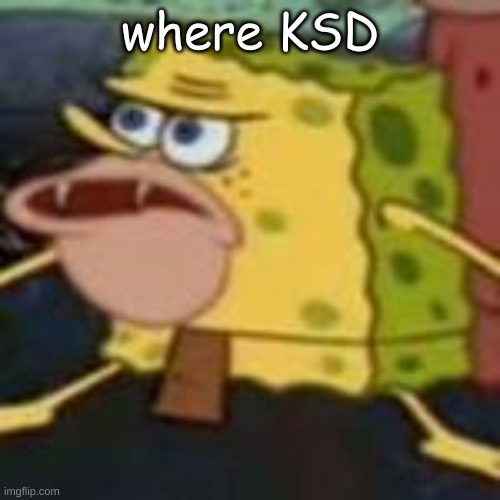 how am I just realizing he's been gone for 2 weeks | where KSD | made w/ Imgflip meme maker