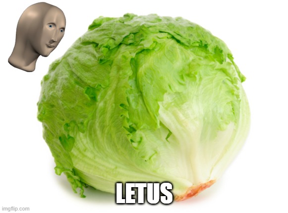 Lettuce  | LETUS | image tagged in lettuce | made w/ Imgflip meme maker