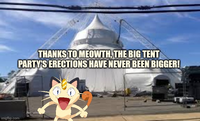 Vote big tant in the upcumming recall erectiun! | THANKS TO MEOWTH, THE BIG TENT PARTY'S ERECTIONS HAVE NEVER BEEN BIGGER! | image tagged in stop it get some help,meowth,big tent,partee | made w/ Imgflip meme maker