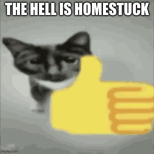 kinda sounds like a ponr title | THE HELL IS HOMESTUCK | image tagged in cat thumbs up | made w/ Imgflip meme maker