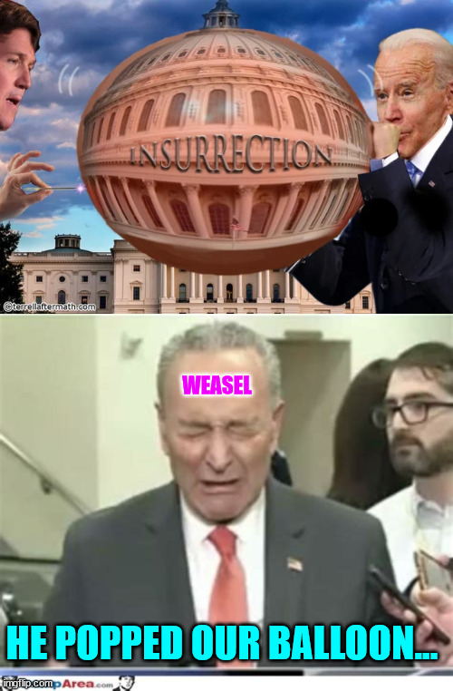 Oh that meany Tucker for exposing the truth...  He needs to be censored... | WEASEL; HE POPPED OUR BALLOON... | image tagged in weasel,chuck schumer,dementia,joe biden,election fraud | made w/ Imgflip meme maker