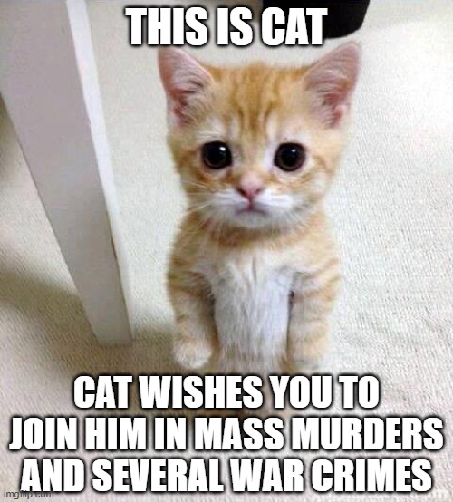 will you join him? | THIS IS CAT; CAT WISHES YOU TO JOIN HIM IN MASS MURDERS AND SEVERAL WAR CRIMES | image tagged in memes,cute cat | made w/ Imgflip meme maker