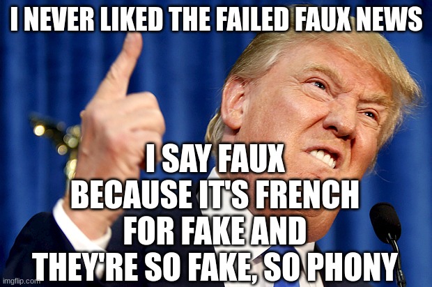 Donald Trump | I NEVER LIKED THE FAILED FAUX NEWS I SAY FAUX BECAUSE IT'S FRENCH FOR FAKE AND THEY'RE SO FAKE, SO PHONY | image tagged in donald trump | made w/ Imgflip meme maker