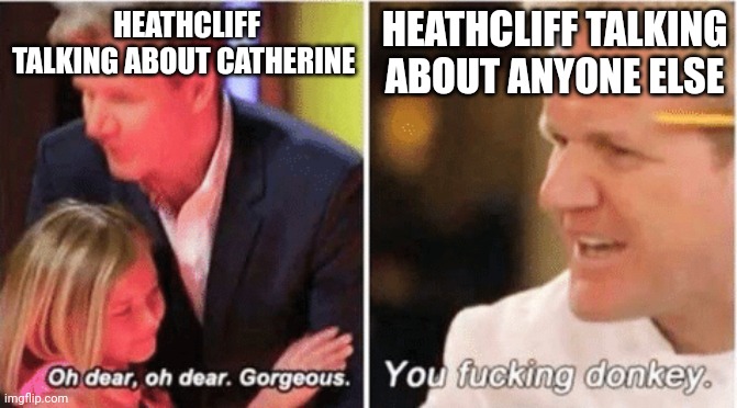 Heathcliff talking about people | HEATHCLIFF TALKING ABOUT CATHERINE; HEATHCLIFF TALKING ABOUT ANYONE ELSE | image tagged in gordon ramsey talking to kids vs talking to adults,heathcliff,wuthering heights,catherine,bronte,emily bronte | made w/ Imgflip meme maker