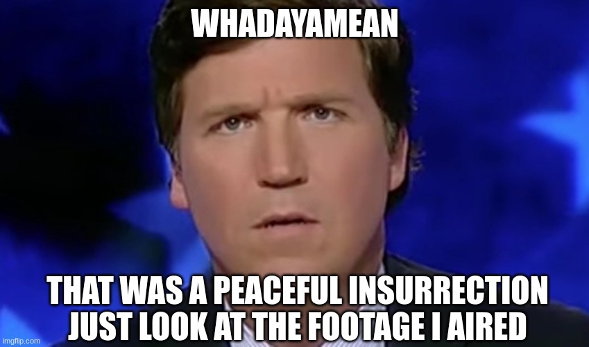 Tucker Carlson | WHADAYAMEAN THAT WAS A PEACEFUL INSURRECTION JUST LOOK AT THE FOOTAGE I AIRED | image tagged in tucker carlson | made w/ Imgflip meme maker