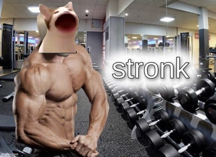 Meme man stronk | image tagged in meme man stronk | made w/ Imgflip meme maker