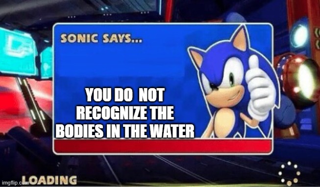 Sonic Says | YOU DO  NOT RECOGNIZE THE BODIES IN THE WATER | image tagged in sonic says | made w/ Imgflip meme maker