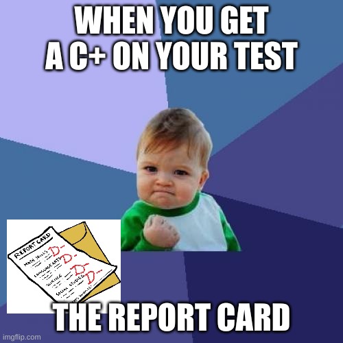 grades | WHEN YOU GET A C+ ON YOUR TEST; THE REPORT CARD | image tagged in memes,success kid | made w/ Imgflip meme maker