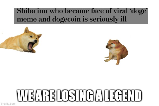 Sad :( | WE ARE LOSING A LEGEND | image tagged in sad,doge | made w/ Imgflip meme maker