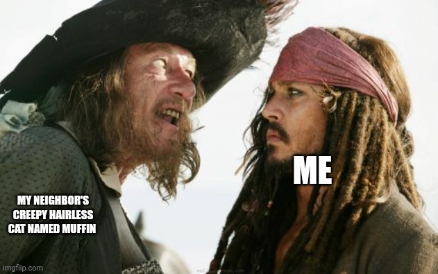 I don't want to pet sit muffin again | ME; MY NEIGHBOR'S CREEPY HAIRLESS CAT NAMED MUFFIN | image tagged in memes,barbosa and sparrow | made w/ Imgflip meme maker