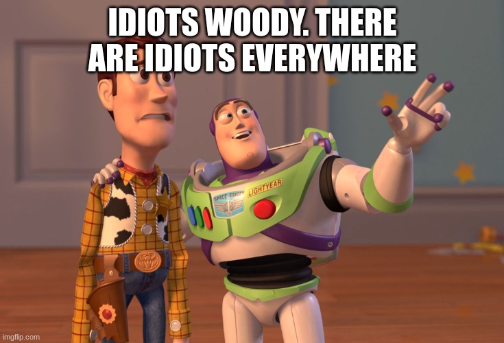 X, X Everywhere | IDIOTS WOODY. THERE ARE IDIOTS EVERYWHERE | image tagged in memes,x x everywhere | made w/ Imgflip meme maker