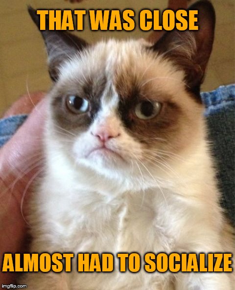 wow that was close, almost had to socialize | THAT WAS CLOSE ALMOST HAD TO SOCIALIZE | image tagged in memes,grumpy cat,socialize,funny,demotivationals,cats | made w/ Imgflip meme maker
