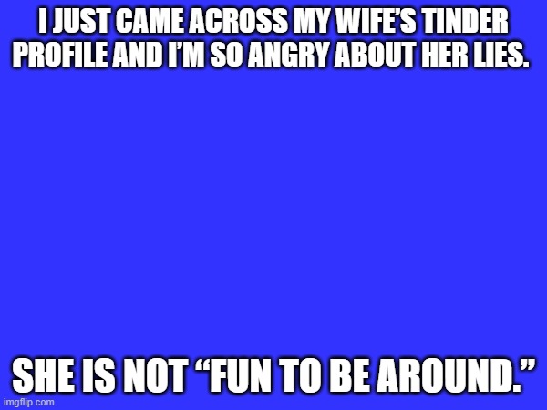 Funny | I JUST CAME ACROSS MY WIFE’S TINDER PROFILE AND I’M SO ANGRY ABOUT HER LIES. SHE IS NOT “FUN TO BE AROUND.” | image tagged in funny,memes | made w/ Imgflip meme maker