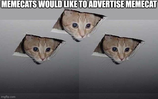 MEMECATS WOULD LIKE TO ADVERTISE MEMECAT | image tagged in memes,ceiling cat | made w/ Imgflip meme maker