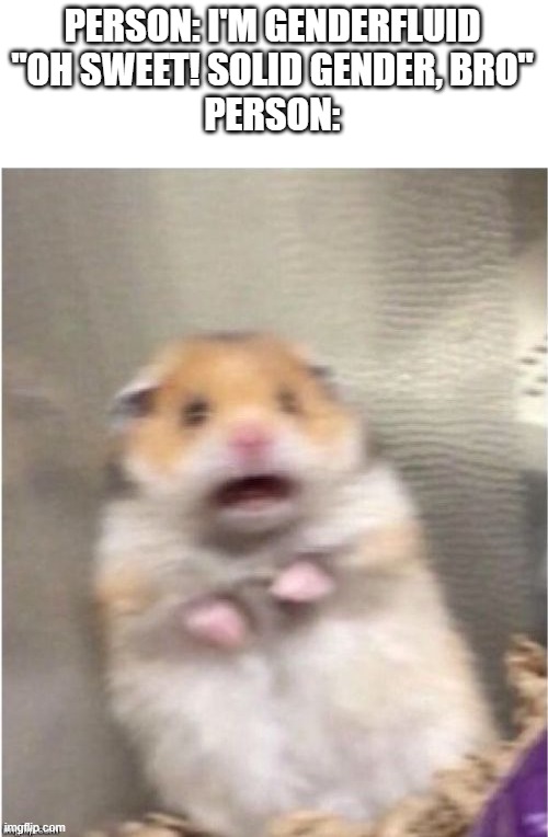 Scared Hamster | PERSON: I'M GENDERFLUID
"OH SWEET! SOLID GENDER, BRO"
PERSON: | image tagged in scared hamster | made w/ Imgflip meme maker