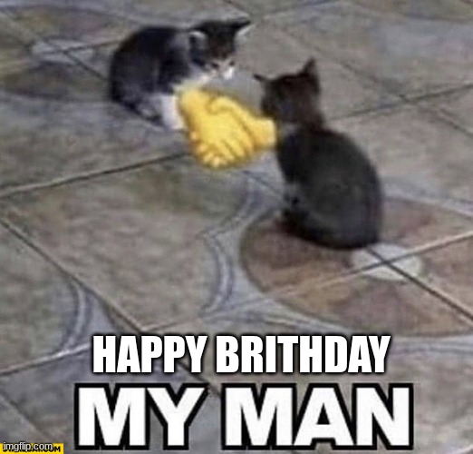 Cats shaking hands | HAPPY BRITHDAY | image tagged in cats shaking hands | made w/ Imgflip meme maker