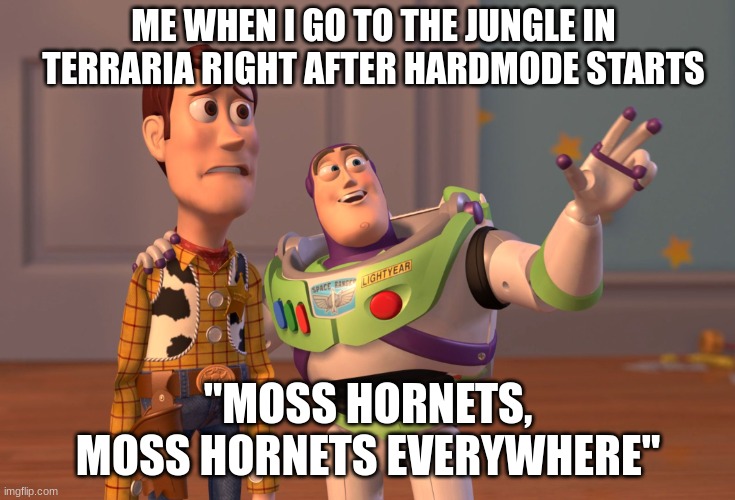 Them Moss Hornets will get ya! | ME WHEN I GO TO THE JUNGLE IN TERRARIA RIGHT AFTER HARDMODE STARTS; "MOSS HORNETS, MOSS HORNETS EVERYWHERE" | image tagged in memes,x x everywhere | made w/ Imgflip meme maker