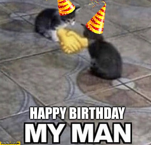 Cats shaking hands | HAPPY BIRTHDAY | image tagged in cats shaking hands | made w/ Imgflip meme maker