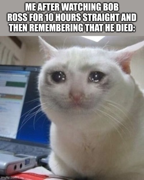 rest in peace bob ross | ME AFTER WATCHING BOB ROSS FOR 10 HOURS STRAIGHT AND THEN REMEMBERING THAT HE DIED: | image tagged in crying cat | made w/ Imgflip meme maker