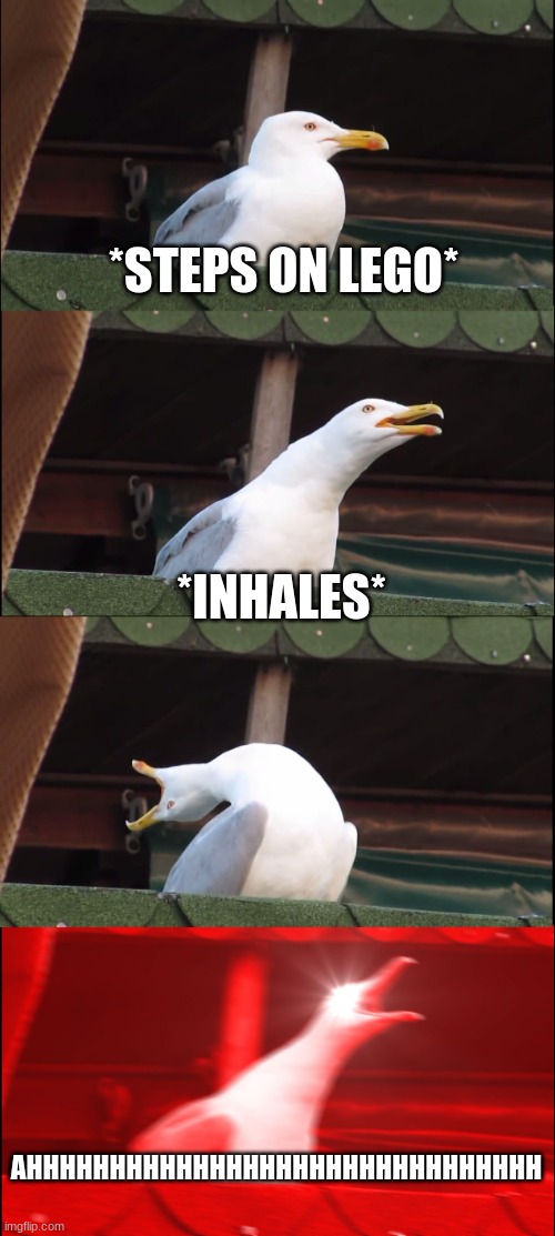 The Worst pain ? | *STEPS ON LEGO*; *INHALES*; AHHHHHHHHHHHHHHHHHHHHHHHHHHHHHHH | image tagged in memes,inhaling seagull | made w/ Imgflip meme maker