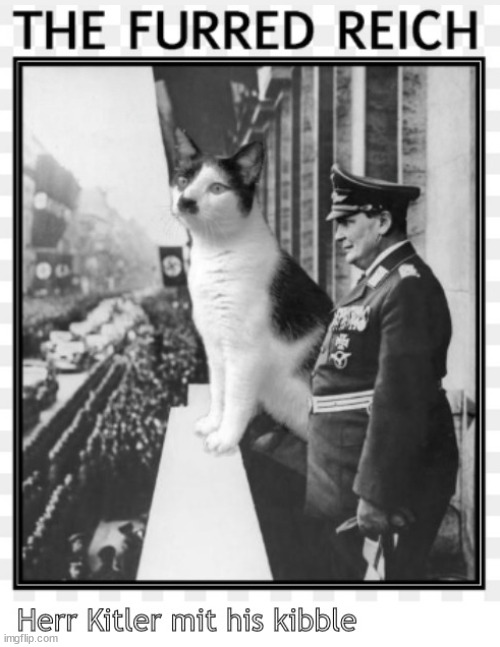 Kitler's kibble | image tagged in memes | made w/ Imgflip meme maker