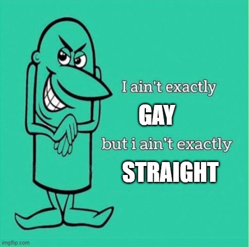 ergsdfvf | GAY; STRAIGHT | image tagged in now i aint exactly saying but i aint exactly | made w/ Imgflip meme maker