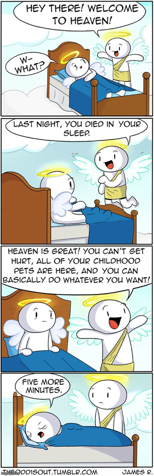 #484 | image tagged in theodd1sout,comics/cartoons,funny,angels,heaven,sleep | made w/ Imgflip meme maker