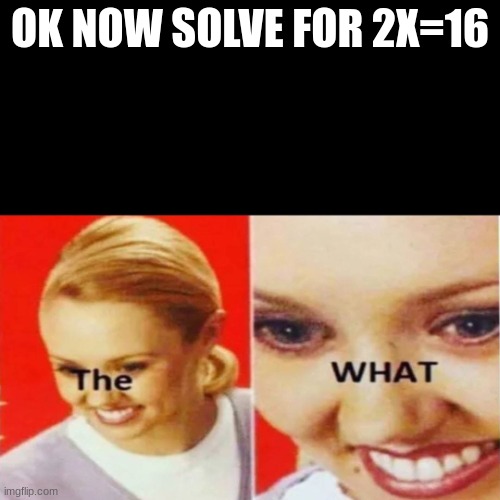 The What | OK NOW SOLVE FOR 2X=16 | image tagged in the what | made w/ Imgflip meme maker