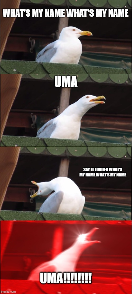 Inhaling Seagull Meme | WHAT'S MY NAME WHAT'S MY NAME; UMA; SAY IT LOUDER WHAT'S MY NAME WHAT'S MY NAME; UMA!!!!!!!! | image tagged in memes,inhaling seagull | made w/ Imgflip meme maker