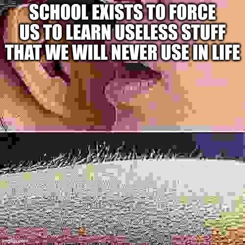 Whisper and Goosebumps | SCHOOL EXISTS TO FORCE US TO LEARN USELESS STUFF THAT WE WILL NEVER USE IN LIFE | image tagged in whisper and goosebumps | made w/ Imgflip meme maker