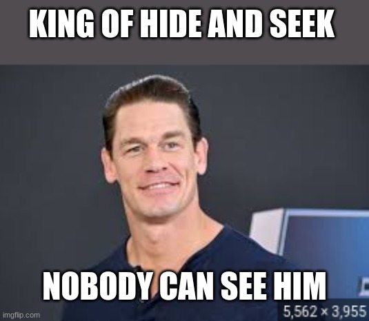 you can't see me | KING OF HIDE AND SEEK; NOBODY CAN SEE HIM | image tagged in fun | made w/ Imgflip meme maker