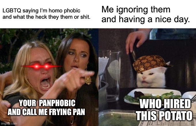 Woman Yelling At Cat | LGBTQ saying I’m homo phobic and what the heck they them or shit. Me ignoring them and having a nice day. YOUR  PANPHOBIC AND CALL ME FRYING PAN; WHO HIRED THIS POTATO | image tagged in memes,woman yelling at cat | made w/ Imgflip meme maker