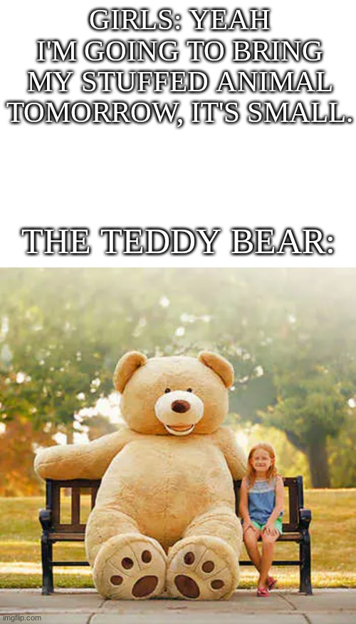 Bro I swear they big af | credit to one of my classmates for inspiring this meme. | GIRLS: YEAH I'M GOING TO BRING MY STUFFED ANIMAL TOMORROW, IT'S SMALL. THE TEDDY BEAR: | image tagged in teddy bear | made w/ Imgflip meme maker